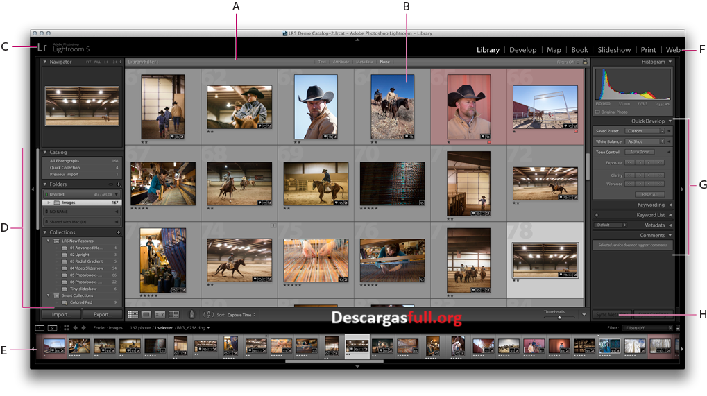 Adobe Zii para macOS v7.0.0 Full Español Mega