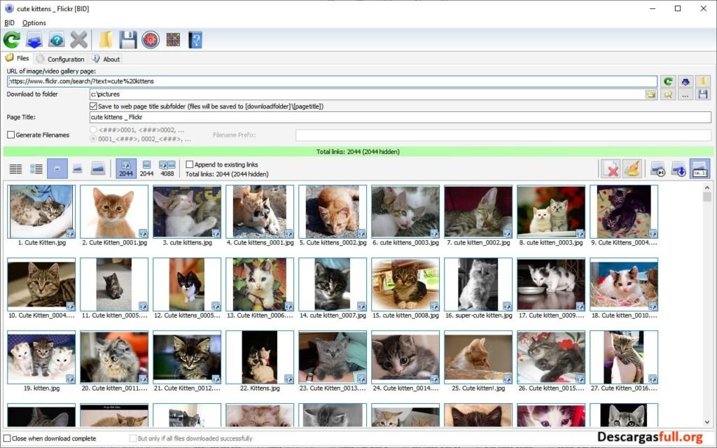 Bulk Image Downloader 6.60 Full Español Mega
