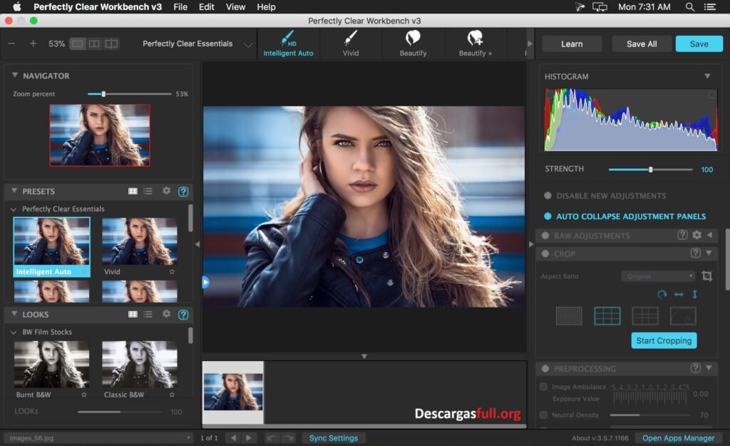 Perfectly Clear WorkBench 4.8.0.2858 Full Español Mega